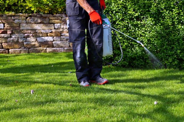 Best Lawn Pest Control  in Coral Hills, MD